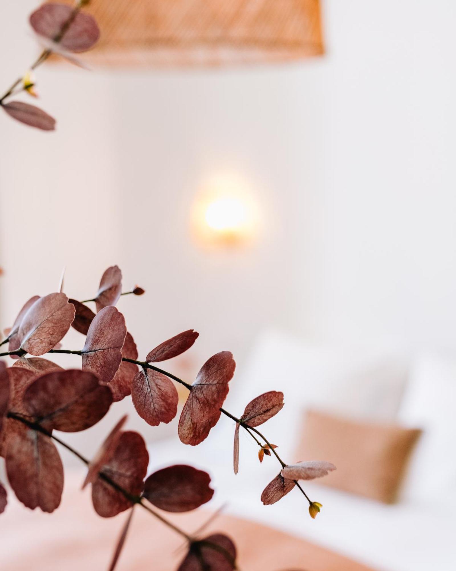 Guest house La Brise